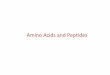02a Amino Acids Introduction