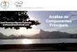 Analise de Componentes Principais ACP