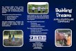 Building Dreams Fundraising Brochure 2015