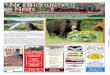Northcountry News 7-17-15.pdf
