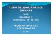 Patologi Anatomi Slide Tumor Neuroglia Primer Glioma (1)
