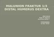 118666767 Malunion Fraktur Humerus