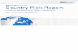 BBVA Country Risk Quarterly Report Public Version Eng JAn 2015