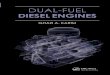 Dual-Fuel Diesel Engine technology