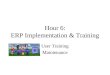 ERP Implementation & Training
