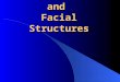 7-Trauma to Teeth and Factial Structures