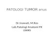 Patologi Tumor Rektum-kuliah Pakar