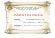 E. Aorta, Carotidea y Periferica