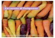 La carota di Polignano