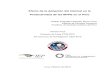 Huaroto 2012 Efecto Adopcion Internet Productividad Mype Informe Final Cies