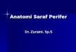 Kp 5.17 Anatomi Saraf Perifer