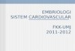 cardiovasculer embryol.ppt
