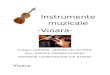 Instrumente muzicale-Vioara