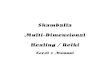 Shamballa Nivel 1