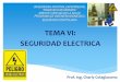 Tema 6. Seguridad Electrica