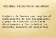 10.- Régimen Tributario Aduanero.pptx