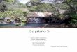 Agronegocio e Recursos Naturais No Cerrado: desafios para uma existência harmônica