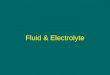 Dr. Becker Fluid & Electrolyte