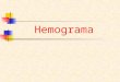 2.3 Hemograma