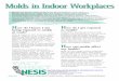 (health) Molds in Indoor Workplaces.pdf