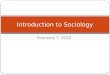 Introduction to Sociology 2