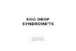 Egg Drop Syndrome’76