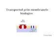 Transportul Prin Membranele Biologice (1)