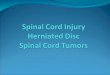 Spinal Cord Injury s2012