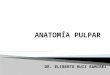 ANATOMIA PULPAR 2014.pptx