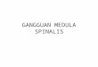 Gangguan Medula Spinalis