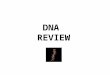 Dna Review Ppt