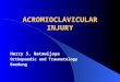 cidera pada acromioclavicular