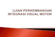 Ujian Perkembangan Integrasi Visual Motor