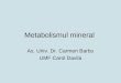Metabolismul Mineral.ppt