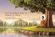 The Buddhist Way to Peace of Mind-Resize.pdf