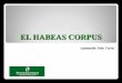 Habeas Corpus.pdf
