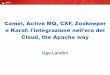 Camel, Active MQ, CXF, Zookeeper e Karaf: l'integrazione nell'era del Cloud, the Apache way