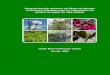 Caracterización Química de Fibras de Plantas Herbáceas