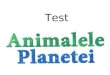 Test Animalele Planetei