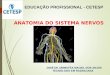 Aula Sistema Nervoso AULA 10.ppt