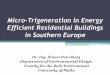PPT Micro-CCHP in Energy Efficient Residential Buildings in Southern Europe (Full)