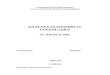 Analiza Economico-Financiara - SC Adonai SRL
