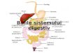 Bolile sistemului digestiv