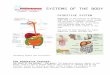 Systems of the Body (Digestive)