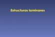 Estructuras Laminares (15!12!10)