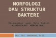 MIKROMIGAS Morfologi dan Struktur Bakteri.ppt