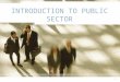 Topic 1 Introduction to Public Sector