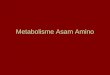 3. Metabolisme Asam Amino.ppt