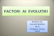 Factorii Evolutiei