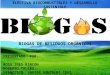 biogas de residuos organicos